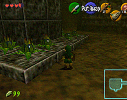 Block staircase surrounded by Bomb Flowers