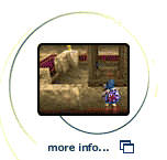 A screenshot of Link in the Forest Temple